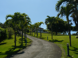 The paved entrance lane descending to the complex f facilities is beautifully lined with tall palm trees.